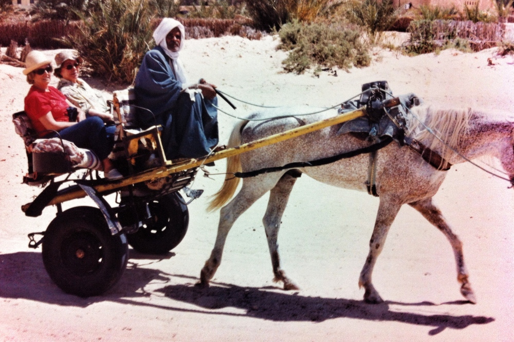 D. Dalva (de verde, sentada à esquerda) não quis se arriscar em cima do camelo. E foi confortavelmente instalada numa charrete.